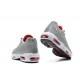 Air Max 95 TT Grå Vit and Röd Män Skor 