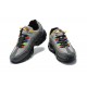 Air Max 95 TT Flerfärgad Grå CW6576-001 Män Skor