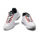 Air Max 95 TT Vit Svart DQ0268-002 Män Skor
