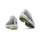 Air Max 95 TT Vit and Grå Män Skor