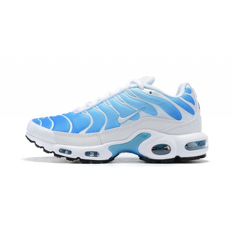 Air Max Plus Tn Blå Vit 852630-411 Män Skor