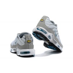 Air Max Plus Tn Grå Vit CZ7552-002 Män Skor