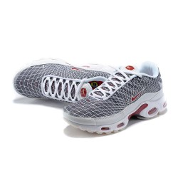 Air Max Plus Tn Grå and Vit Män Skor